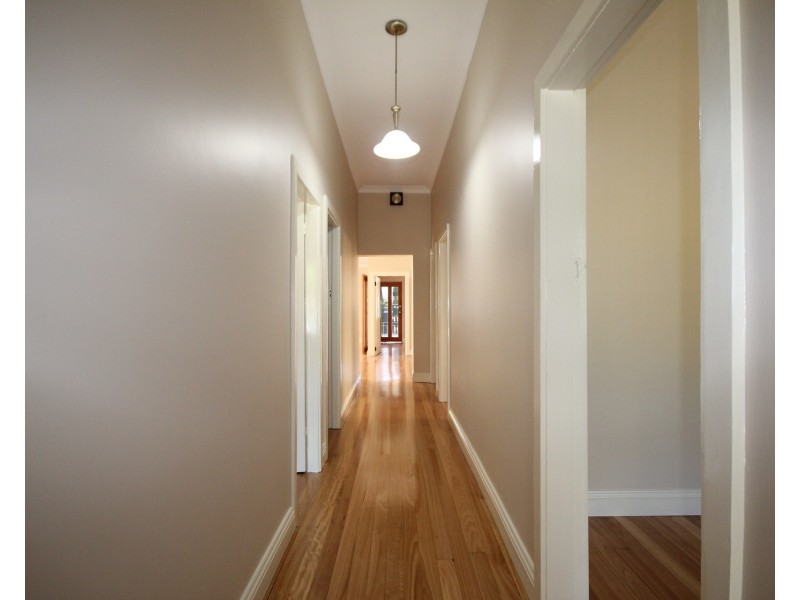 3 Hunter Street, Strathfield NSW 2135