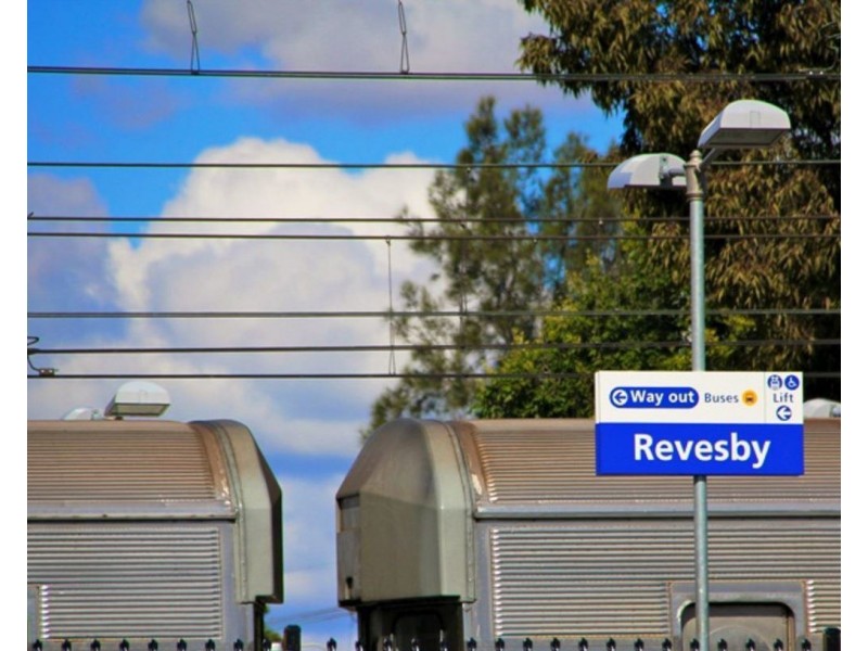 17 Snowsill Avenue, Revesby NSW 2212