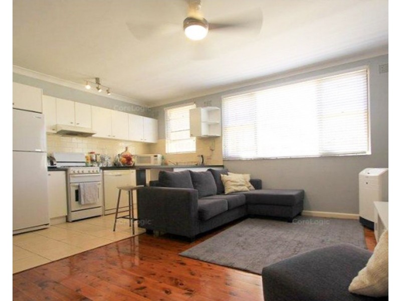 1/20 Etonville Parade, Croydon NSW 2132