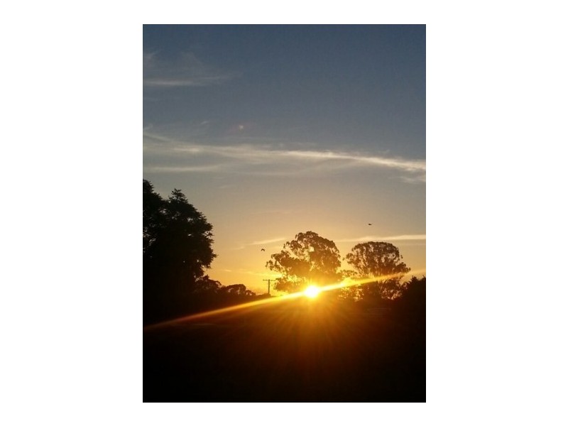 237  Richmond Road, Penrith NSW 2750