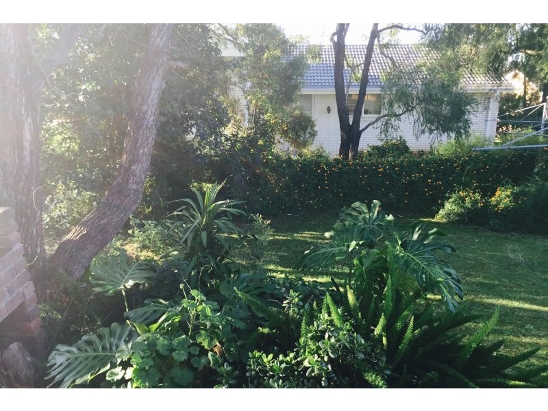 7 Hillview Avenue, Penrith South NSW 2750