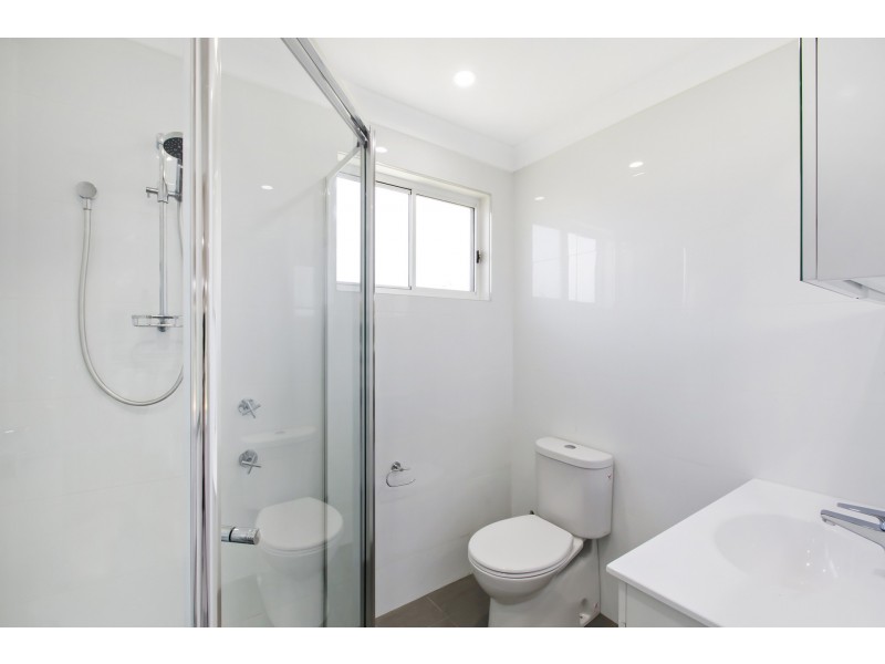 55a Alpine Circuit, St Clair NSW 2759