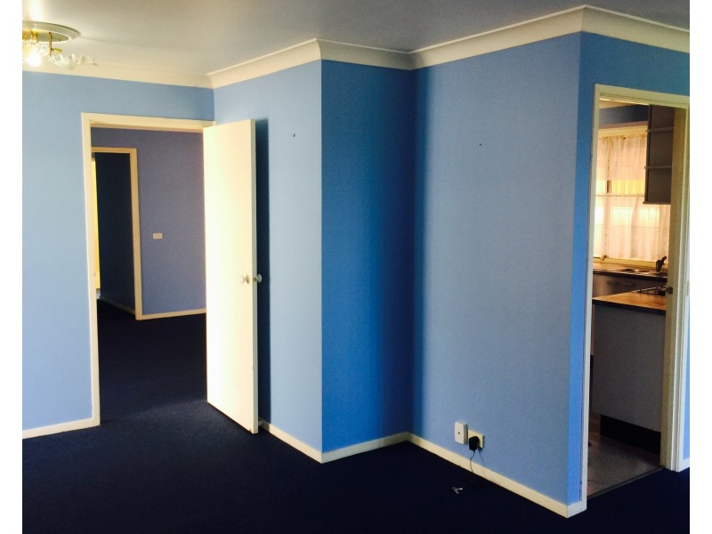 175 Sunflower Drive, Claremont Meadows NSW 2747