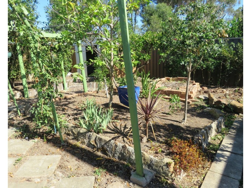 23 Rowntree Street, Quakers Hill NSW 2763