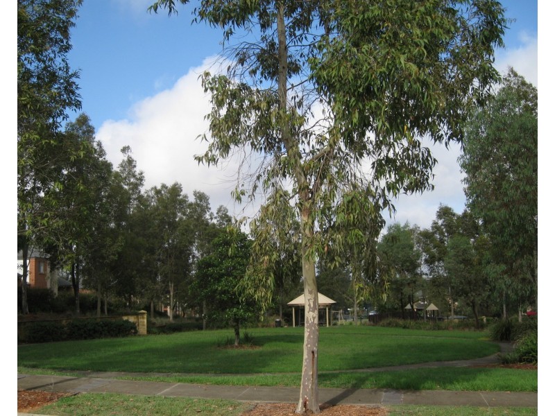 2/48 Greendale Terrace, Quakers Hill NSW 2763