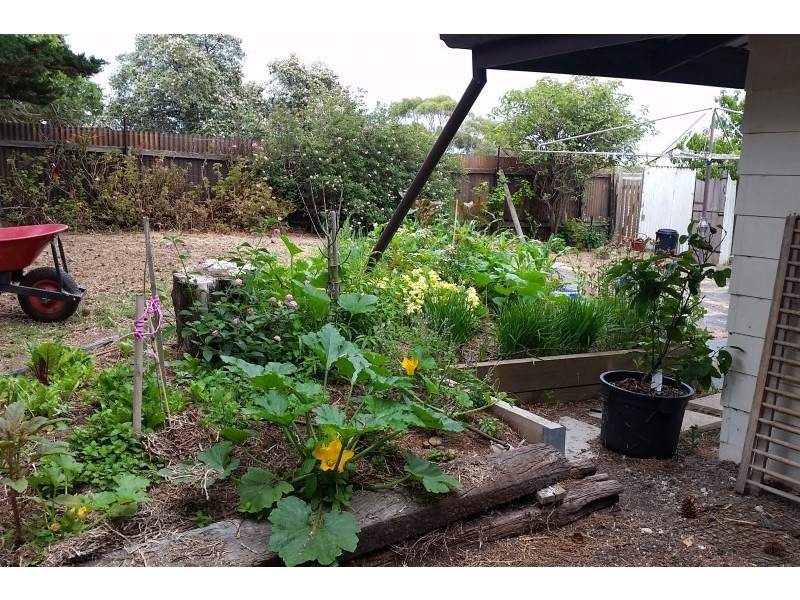 118 Thomas Road, Maslin Beach SA 5170