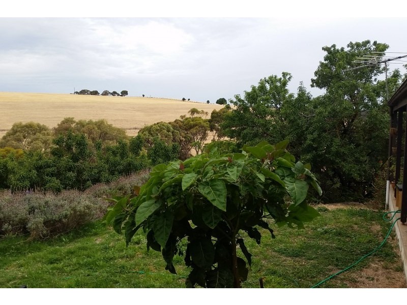 118 Thomas Road, Maslin Beach SA 5170