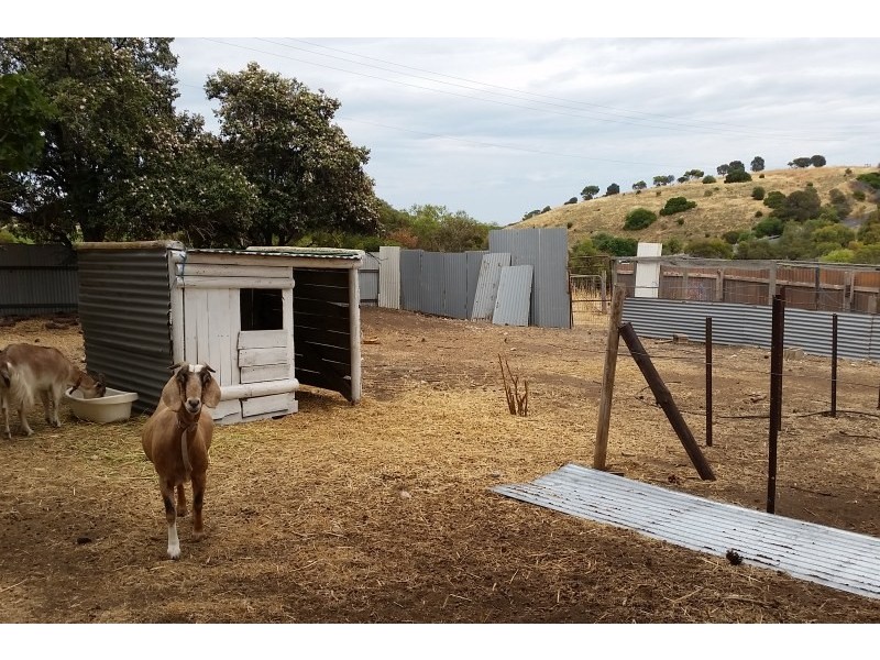 118 Thomas Road, Maslin Beach SA 5170