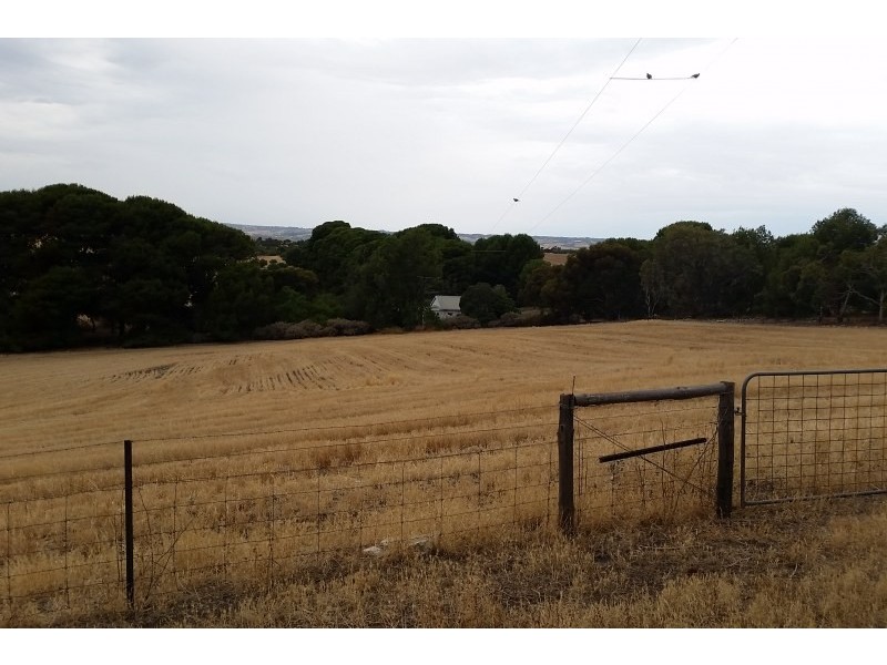 118 Thomas Road, Maslin Beach SA 5170