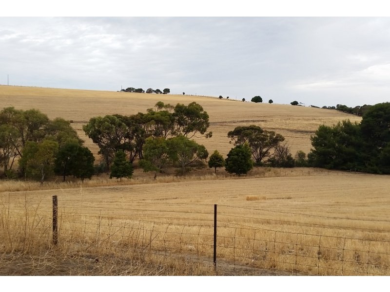 118 Thomas Road, Maslin Beach SA 5170