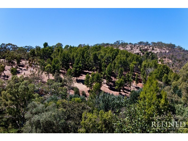 22 Robinson Avenue, Beaumont SA 5066