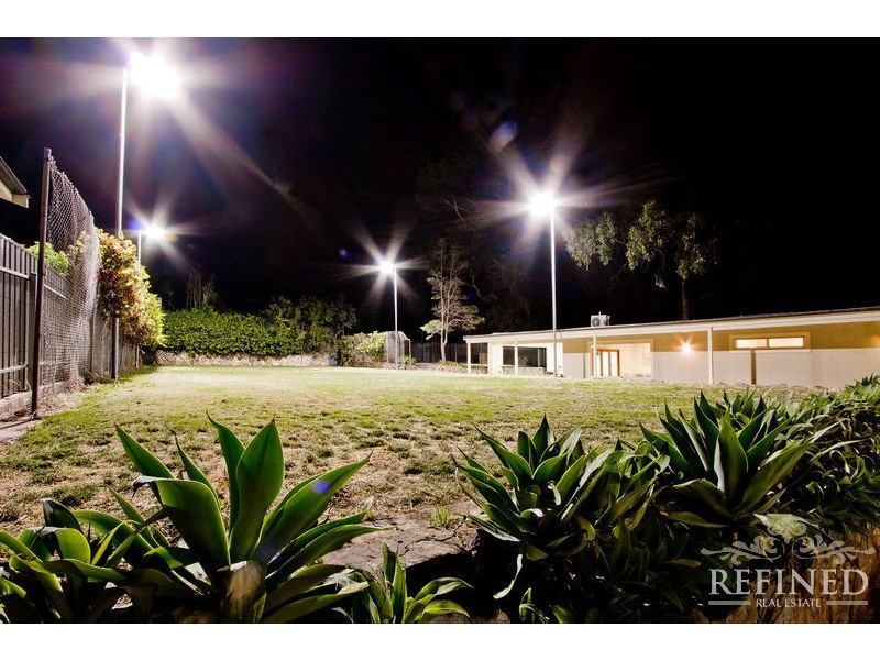 11 Montrose Avenue, Netherby SA 5062