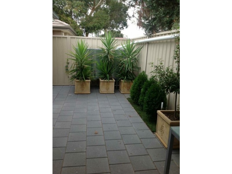 4B Star Avenue, Dudley Park SA 5008