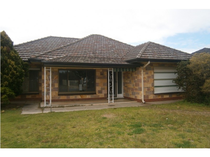 66 Whelan Avenue, Camden Park SA 5038