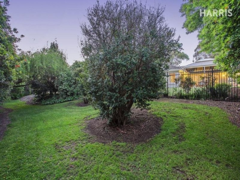 10 Moorcroft Court, Burnside SA 5066