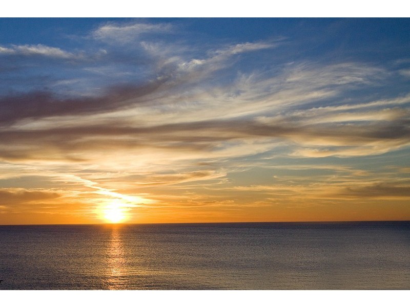 52 Alfreda Street, Brighton SA 5048