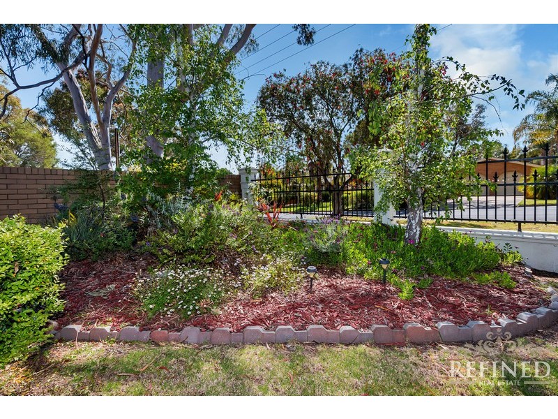 49 Ridgway Drive, Flagstaff Hill SA 5159