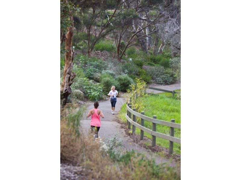 17 Mersey Street, Gilberton SA 5081