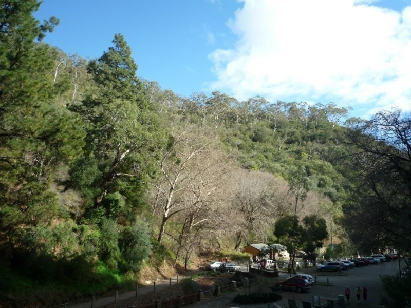 140 Waterfall Gully Road, Waterfall Gully SA 5066