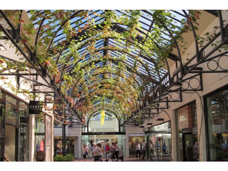 65 Sturdee Street, Linden Park SA 5065