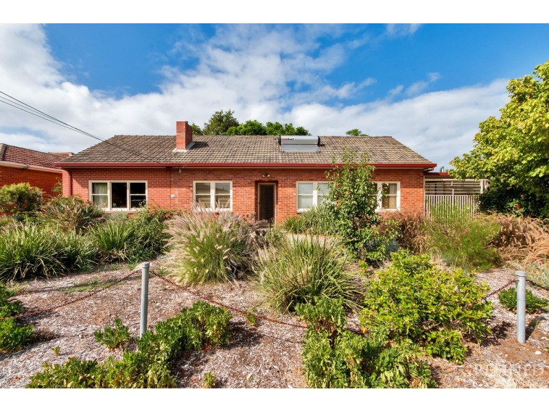 16 Munro Avenue, Seaton SA 5023