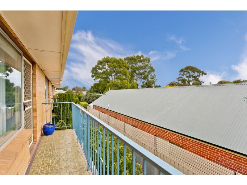 3/52 Essex Street South Street, Goodwood SA 5034
