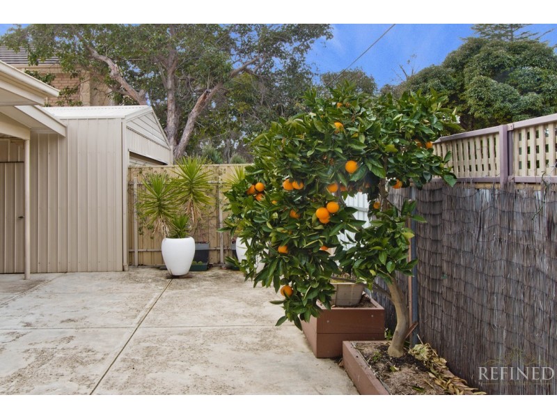 11 Sando Avenue, Tranmere SA 5073