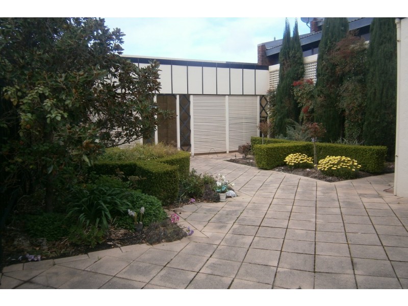 161 Sturt Street, Adelaide SA 5000