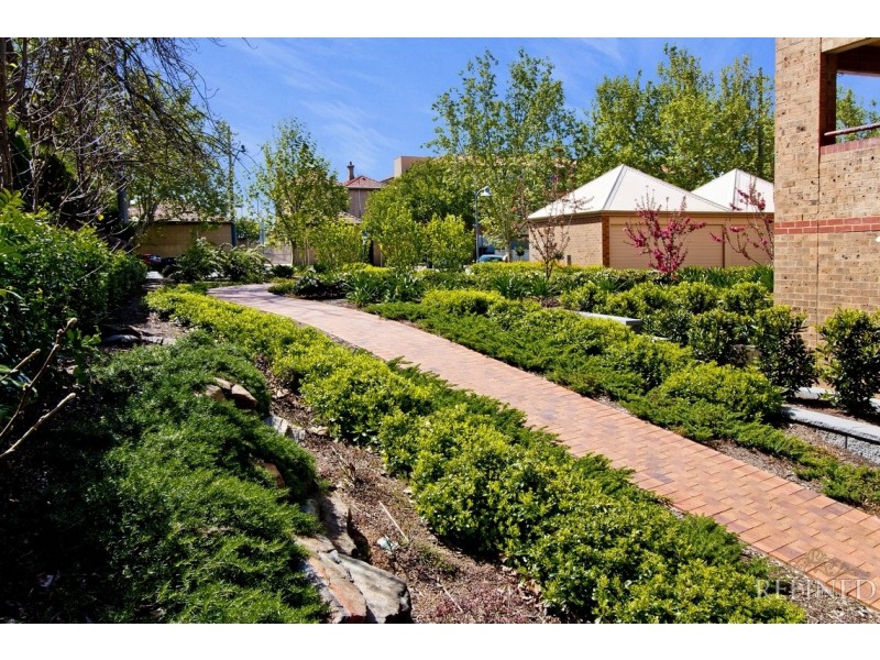 16/21-37 Jeffcott Street, North Adelaide SA 5006