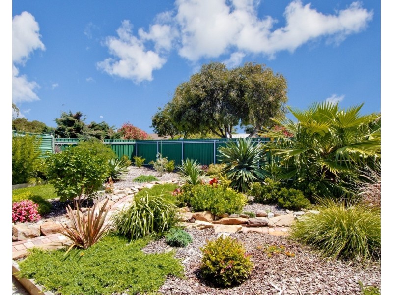 11 Thompson Street, Grange SA 5022