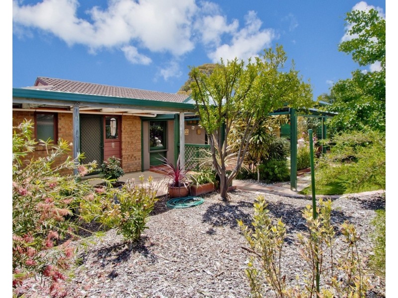 11 Thompson Street, Grange SA 5022
