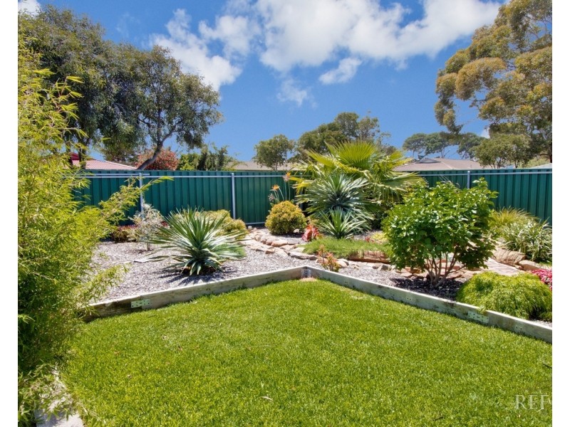 11 Thompson Street, Grange SA 5022