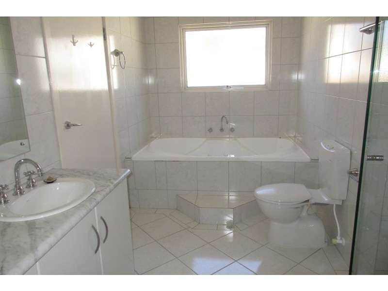 156 MacKinnon Parade, North Adelaide SA 5006