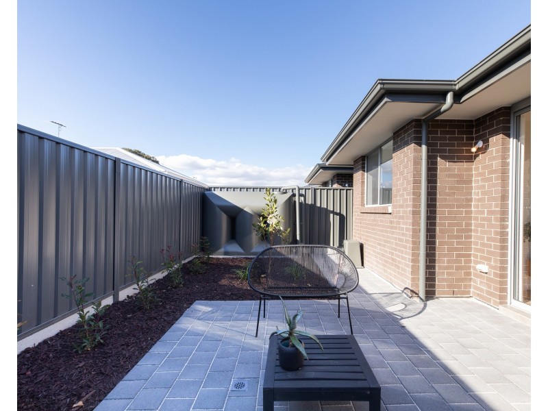 53A&B Hawker Avenue, Plympton Park SA 5038