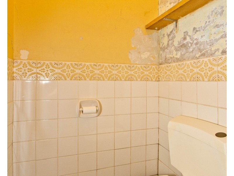 51 Joslin Street, Wayville SA 5034