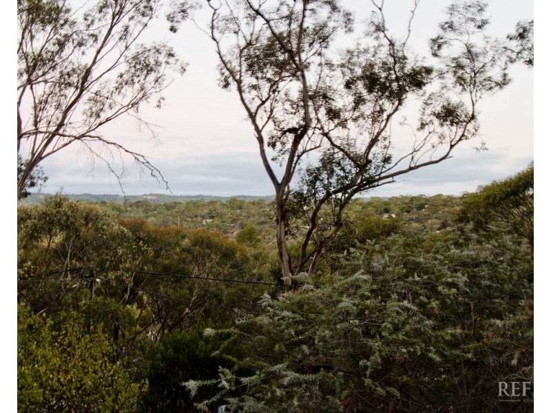 13 Ralph Avenue, Belair SA 5052