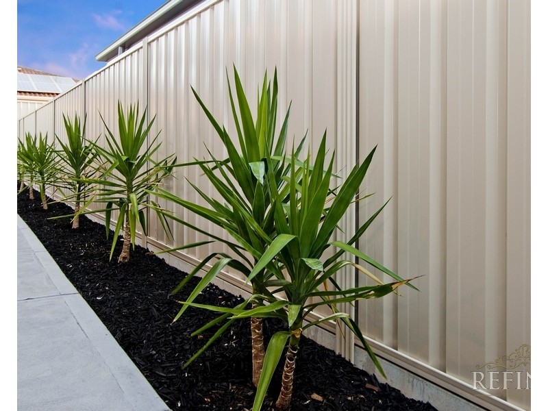 72 Barnes Road, Glynde SA 5070