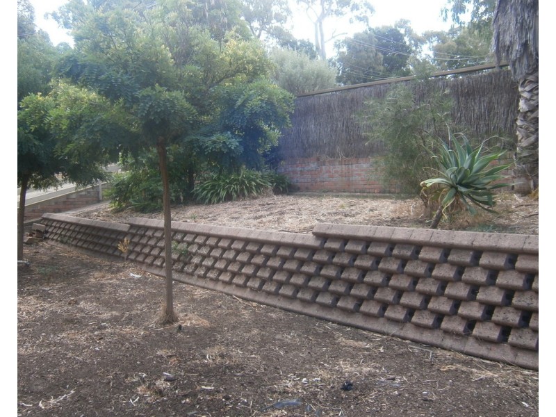 43 Hillside Avenue, Highbury SA 5089