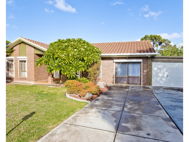16 Griggs Drive, Athelstone SA 5076