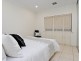 16 Lymn Avenue, Athelstone SA 5076