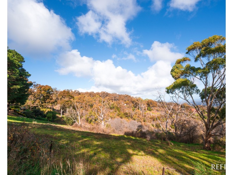 3 Northview Way, Teringie SA 5072