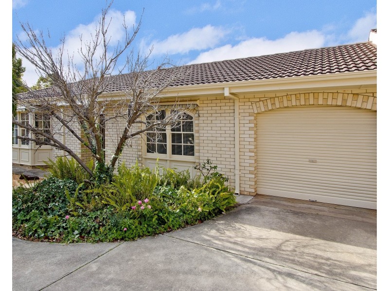 6/8 Barker Grove, Toorak Gardens SA 5065