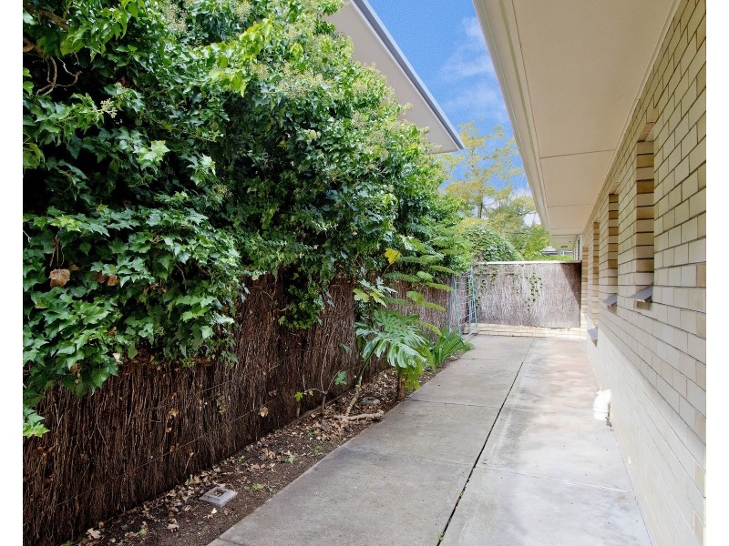 6/8 Barker Grove, Toorak Gardens SA 5065