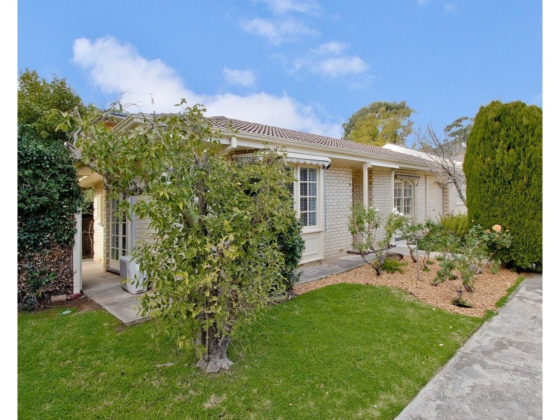 6/8 Barker Grove, Toorak Gardens SA 5065