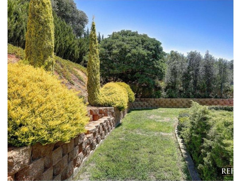 8 Gamay Court, Auldana SA 5072