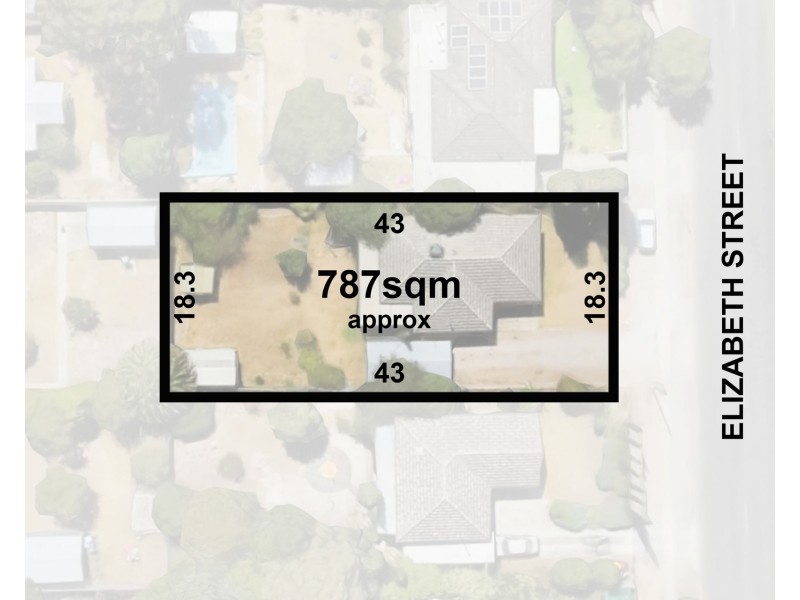 49 Elizabeth Street, Banksia Park SA 5091