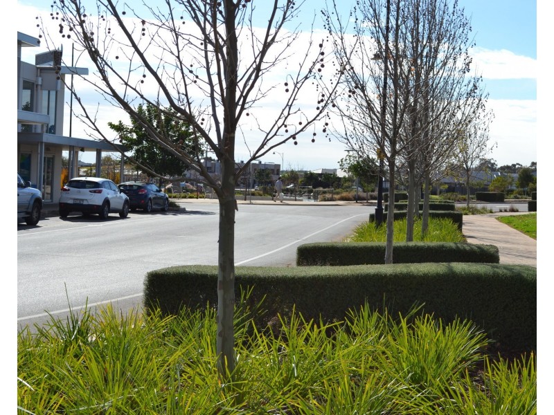 2 Scoular Road, Blakeview SA 5114