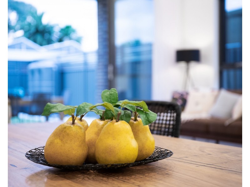 13 Verdun Street, Beulah Park SA 5067