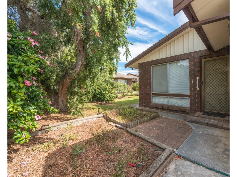 3/33 Gaelic Avenue, Holden Hill SA 5088