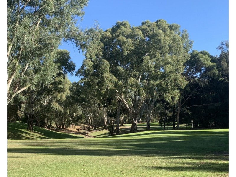 5 Vincent Court, Campbelltown SA 5074